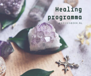 Uniek ontwikkeld healingprogramma, binnen 5 weken voel jij je als herboren.​ Via Lead A Normal Life